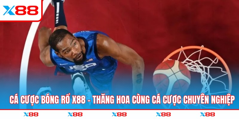 Cá cược bóng rổ